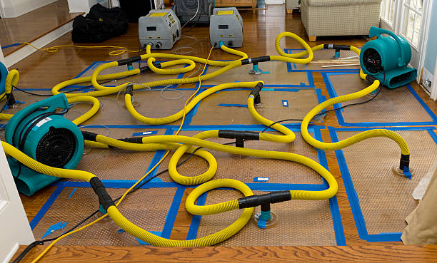 Professional Burst Pipe Water Damage technician working in Cincinnati, OH